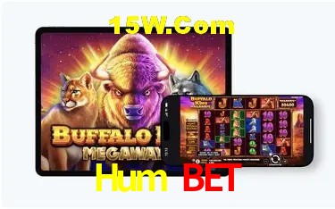 Tecnologia da Plataforma Hum Bet